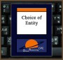 choice_of_entity
